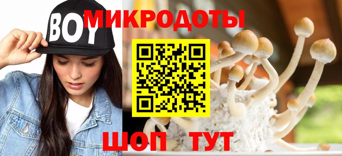 Галлюциногенные грибы MAGIC MUSHROOMS  Псилоцибиновые грибы Psilocybine cubensis  Вязники  Вход с VPN 